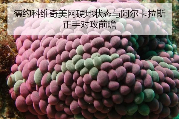 de-yue-ke-wei-qi-mei-wang-ying-di-zhuang-tai-yu-a-er-ka-la-si-zheng-shou-dui-gong-qian-zhan-2-463.jpg