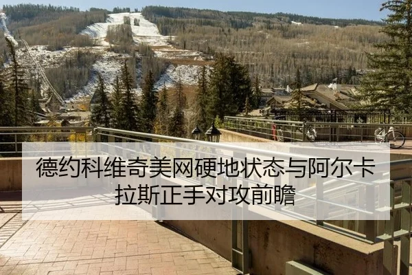 de-yue-ke-wei-qi-mei-wang-ying-di-zhuang-tai-yu-a-er-ka-la-si-zheng-shou-dui-gong-qian-zhan-3-313.jpg