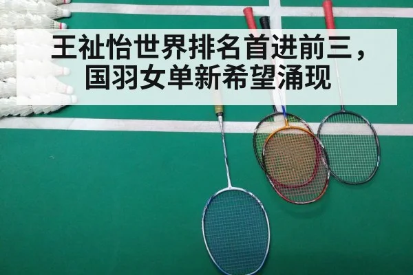 badminton court match