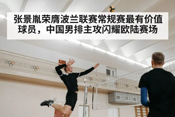 张景胤荣膺波兰联赛常规赛最有价值球员,中国男排主攻闪耀欧陆赛场