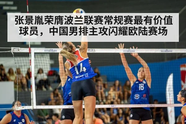 volleyball match action